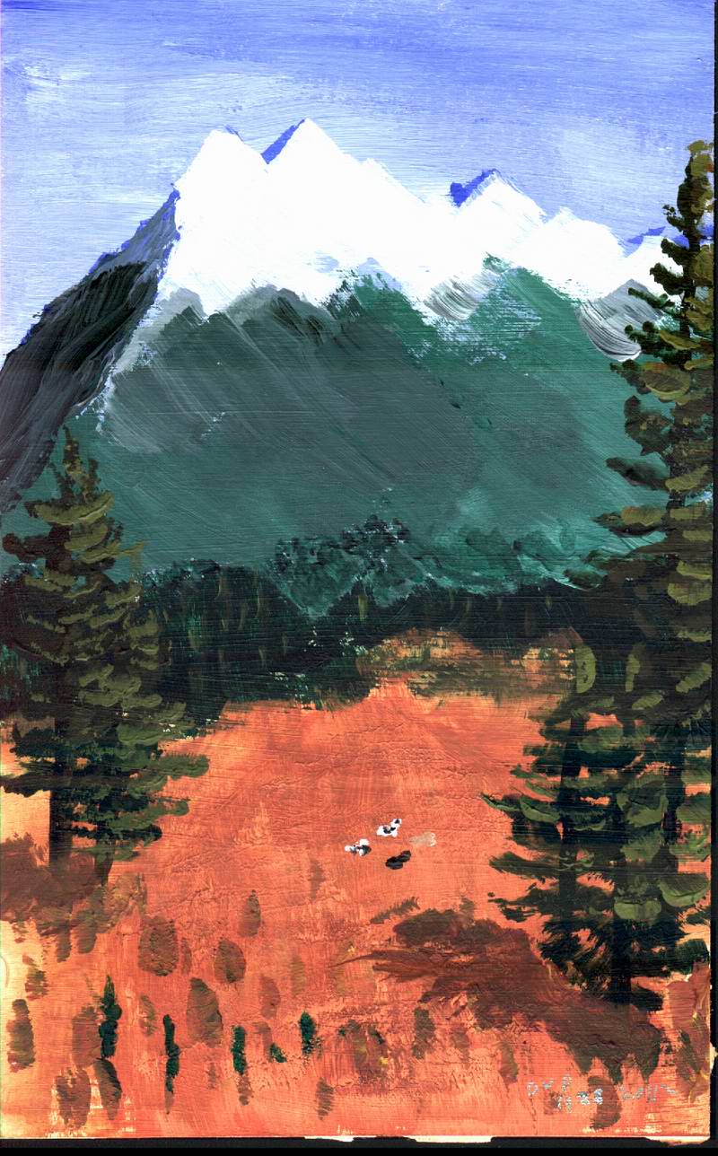 Deb's Mountian Meadow