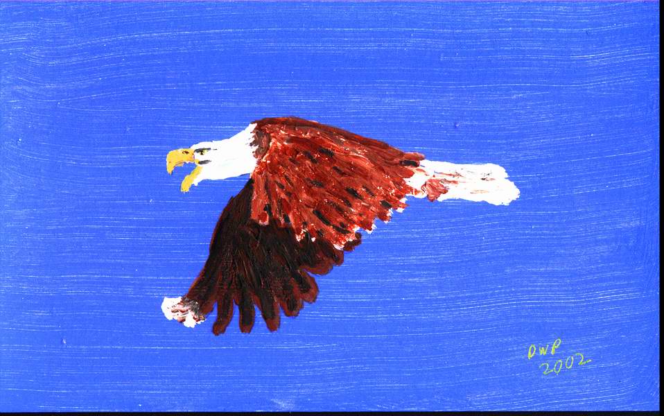 Eagle in Flight