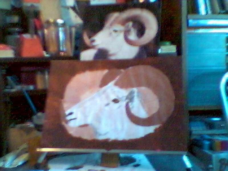 Mountain Sheep in Progress