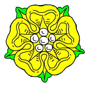 yellow rose